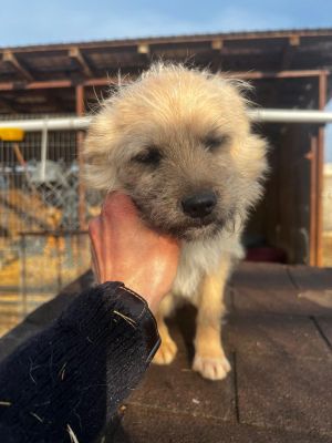 WhatsApp Image 2026 02 16 at 13.27.54