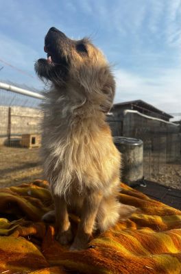 WhatsApp Image 2026 02 16 at 13.27.55