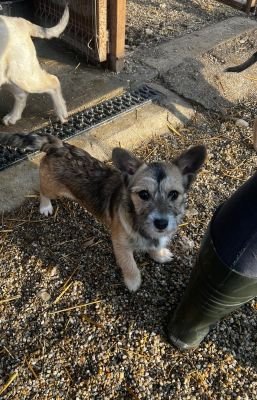 WhatsApp Image 2026 02 16 at 14.01.512