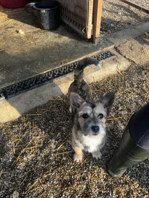 WhatsApp Image 2026 02 16 at 14.01.513