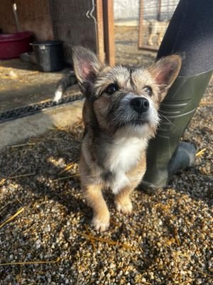 WhatsApp Image 2026 02 16 at 14.01.515