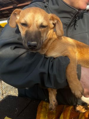 WhatsApp Image 2026 02 16 at 14.05.55