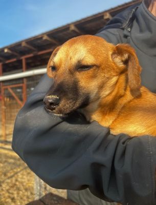 WhatsApp Image 2026 02 16 at 14.05.551