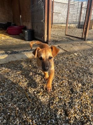 WhatsApp Image 2026 02 16 at 14.05.595