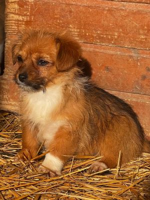 WhatsApp Image 2026 02 16 at 15.56.471