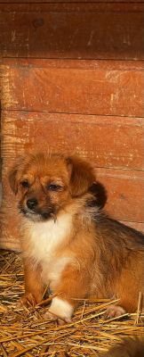 WhatsApp Image 2026 02 16 at 15.56.473