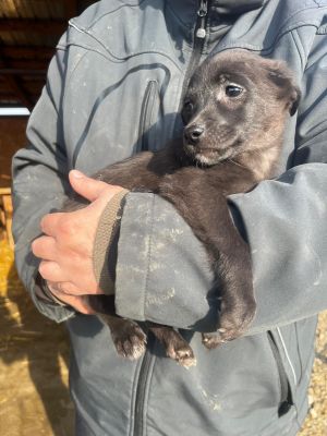 WhatsApp Image 2026 02 16 at 18.33.41