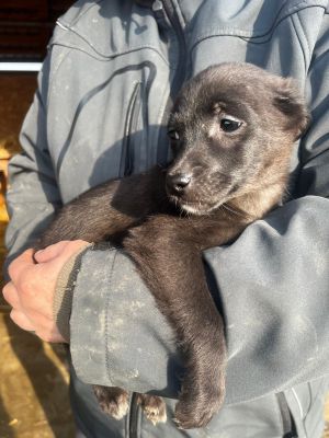 WhatsApp Image 2026 02 16 at 18.33.425