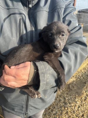 WhatsApp Image 2026 02 16 at 18.33.426