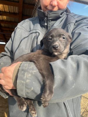 WhatsApp Image 2026 02 16 at 18.33.43