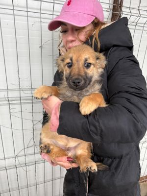 WhatsApp Image 2026 02 17 at 17.11.18 (1)