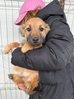 WhatsApp Image 2026 02 17 at 17.11.18 (2)