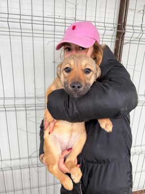 WhatsApp Image 2026 02 17 at 17.11.191