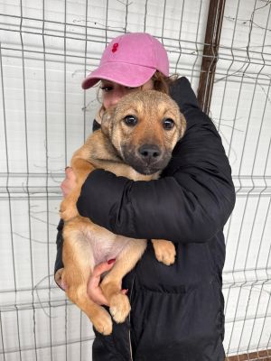 WhatsApp Image 2026 02 17 at 17.11.192