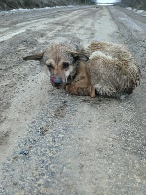 WhatsApp Image 2026 02 19 at 20.31.22