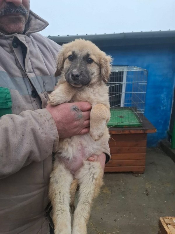 WhatsApp Image 2026 02 20 at 15.59.02 (1)