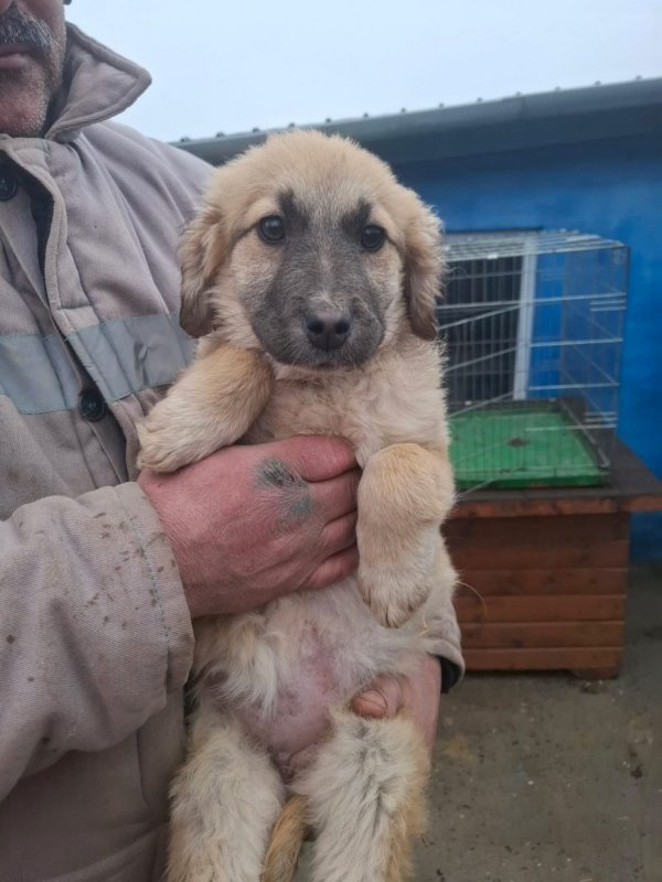 WhatsApp Image 2026 02 20 at 15.59.02