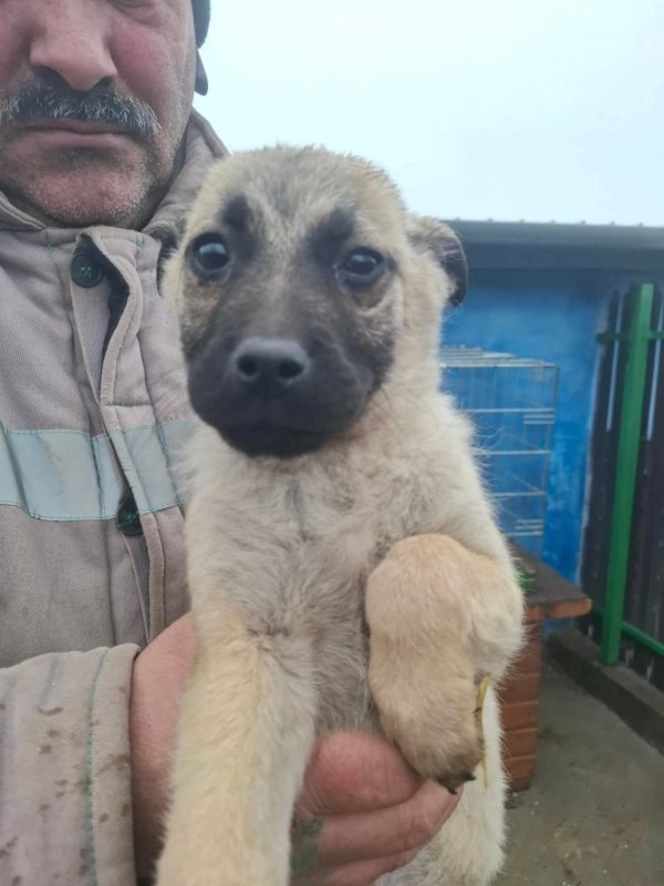 WhatsApp Image 2026 02 20 at 15.59.02