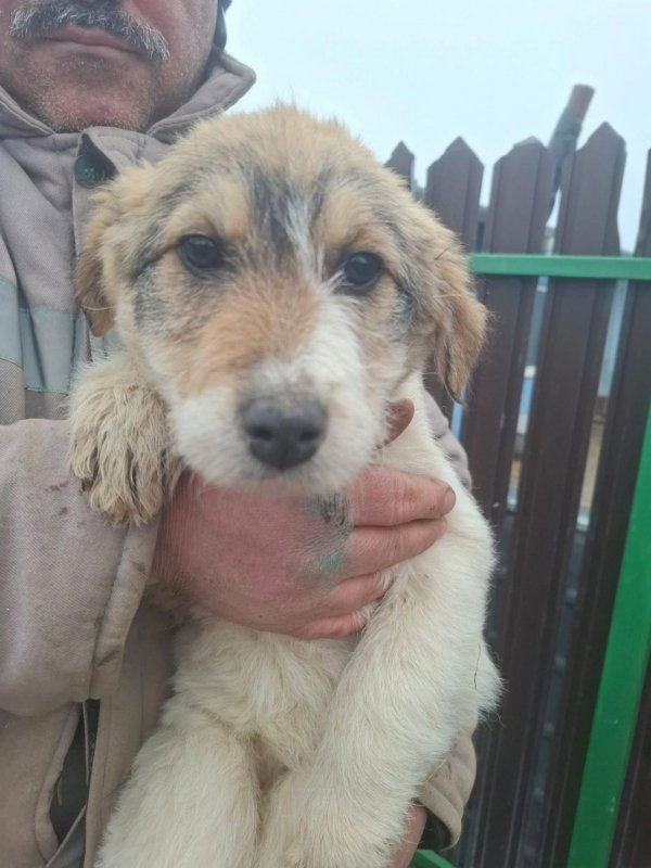 WhatsApp Image 2026 02 20 at 15.59.03 (1)