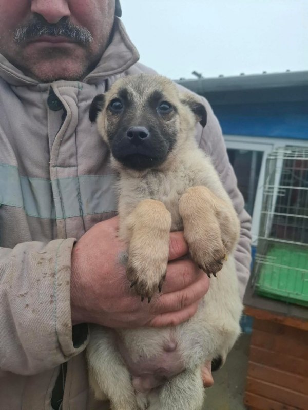 WhatsApp Image 2026 02 20 at 15.59.03 (1)