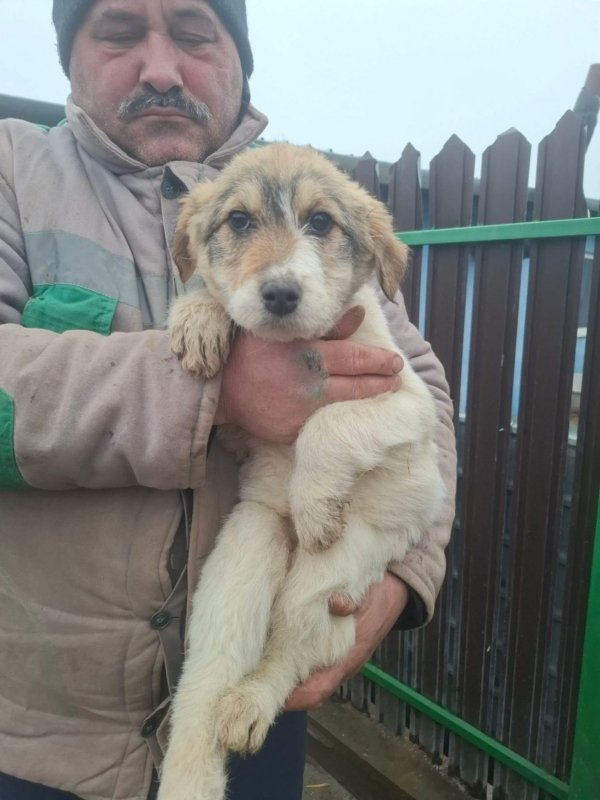 WhatsApp Image 2026 02 20 at 15.59.03 (2)