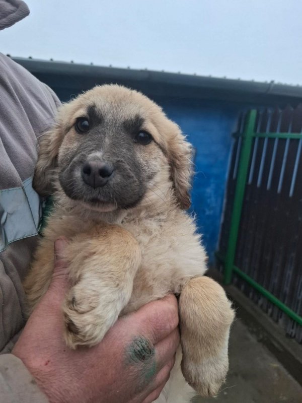 WhatsApp Image 2026 02 20 at 15.59.03