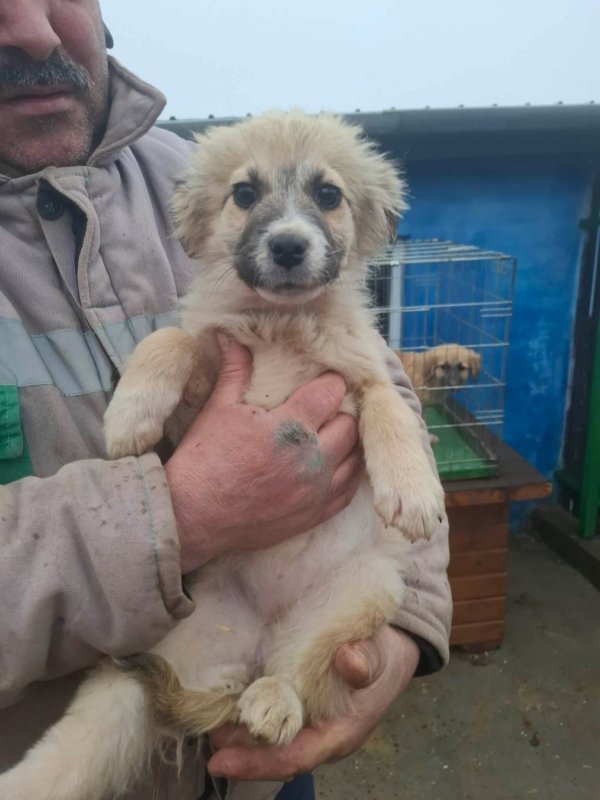 WhatsApp Image 2026 02 20 at 15.59.03