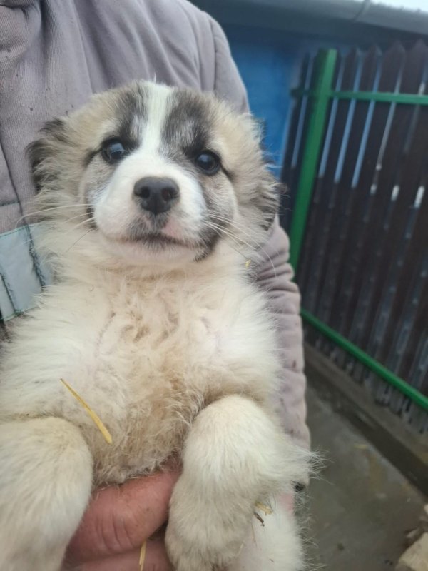 WhatsApp Image 2026 02 20 at 15.59.03