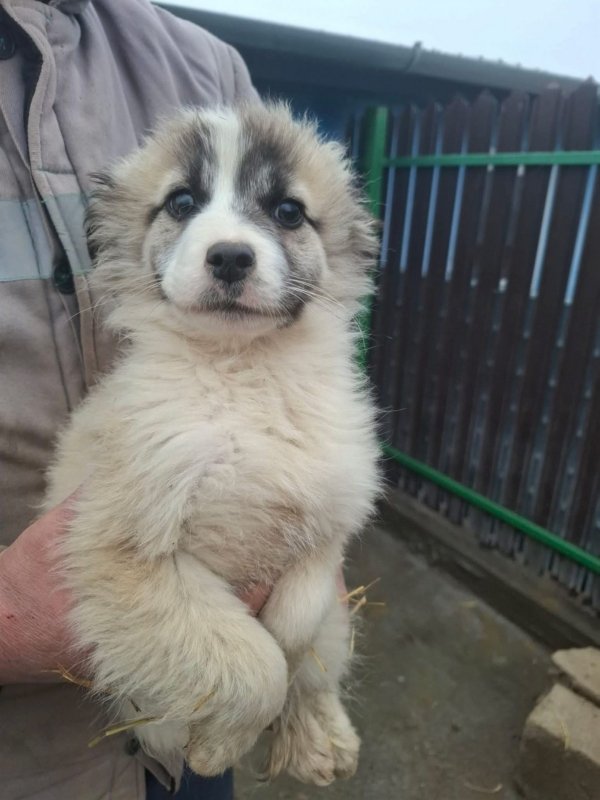 WhatsApp Image 2026 02 20 at 15.59.04