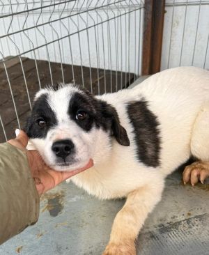 WhatsApp Image 2026 02 23 at 13.27.44