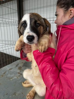 WhatsApp Image 2026 02 23 at 13.28.44 (3)