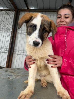 WhatsApp Image 2026 02 23 at 13.28.44