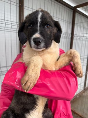 WhatsApp Image 2026 02 23 at 13.33.47