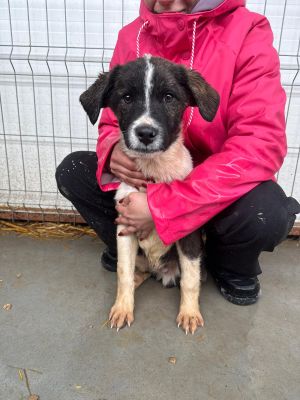 WhatsApp Image 2026 02 23 at 13.33.471