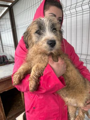 WhatsApp Image 2026 02 23 at 13.37.28 (1)