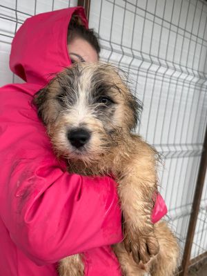 WhatsApp Image 2026 02 23 at 13.37.30