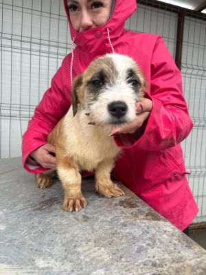 WhatsApp Image 2026 02 23 at 13.40.23