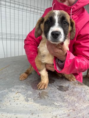 WhatsApp Image 2026 02 23 at 13.41.34