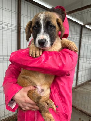 WhatsApp Image 2026 02 23 at 13.42.29 (1)