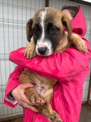 WhatsApp Image 2026 02 23 at 13.42.30