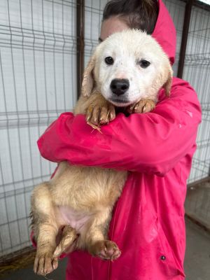 WhatsApp Image 2026 02 23 at 13.43.24 (3)