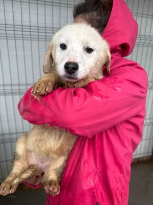 WhatsApp Image 2026 02 23 at 13.43.25