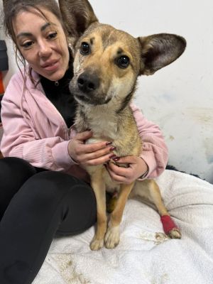 WhatsApp Image 2026 02 24 at 17.38.12 (1)