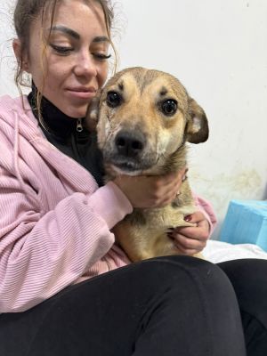 WhatsApp Image 2026 02 24 at 17.38.12 (2)