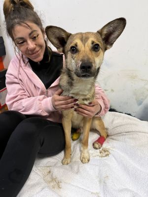 WhatsApp Image 2026 02 24 at 17.38.12