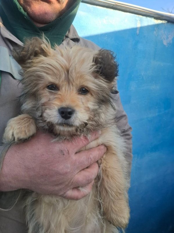 WhatsApp Image 2026 02 24 at 20.12.20 (1)