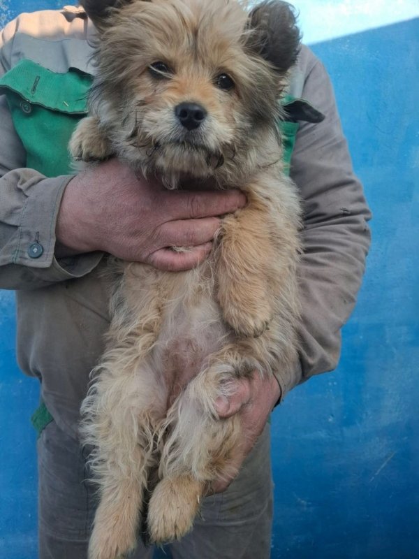 WhatsApp Image 2026 02 24 at 20.12.21 (1)