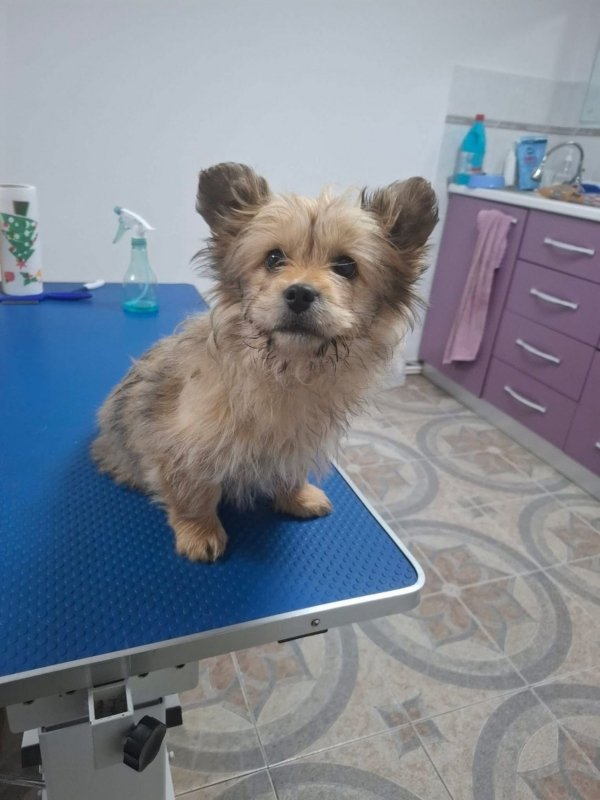 WhatsApp Image 2026 02 24 at 20.12.21 (2)