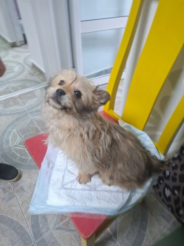 WhatsApp Image 2026 02 24 at 20.12.21 (3)