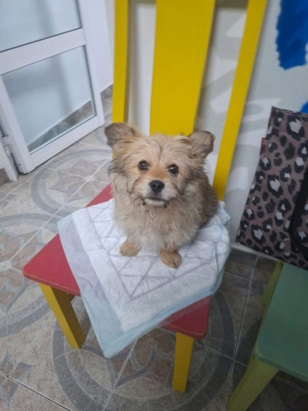 WhatsApp Image 2026 02 24 at 20.12.21